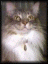 Benutzeravatar